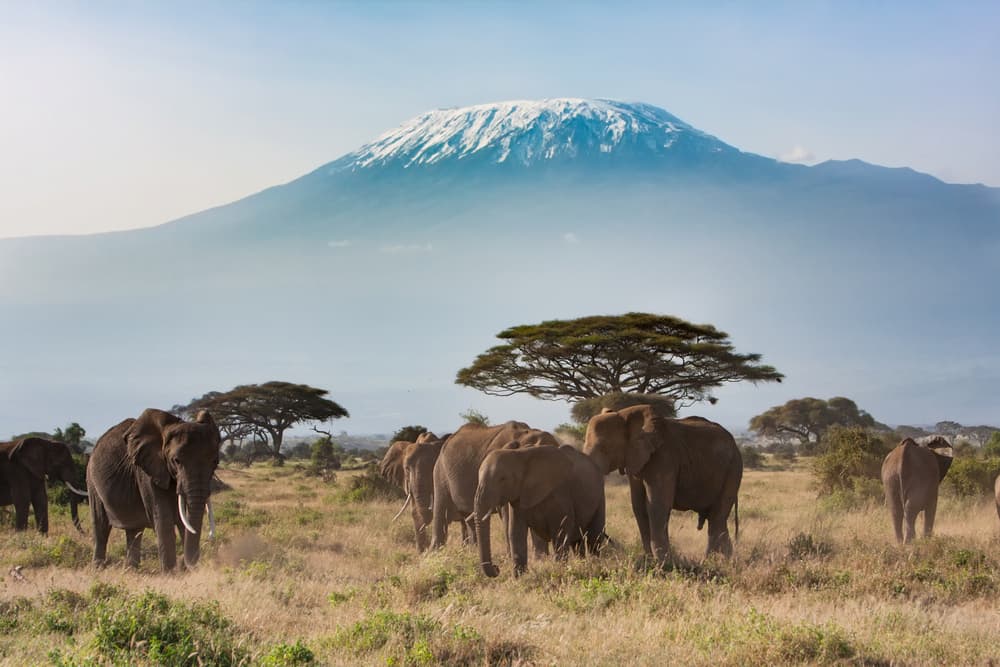 Is It Expensive To Travel To Tanzania?